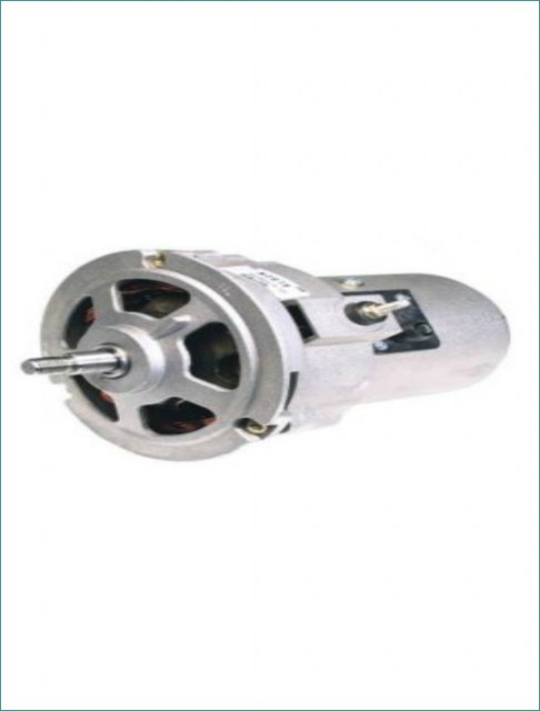 alternator-beetle7